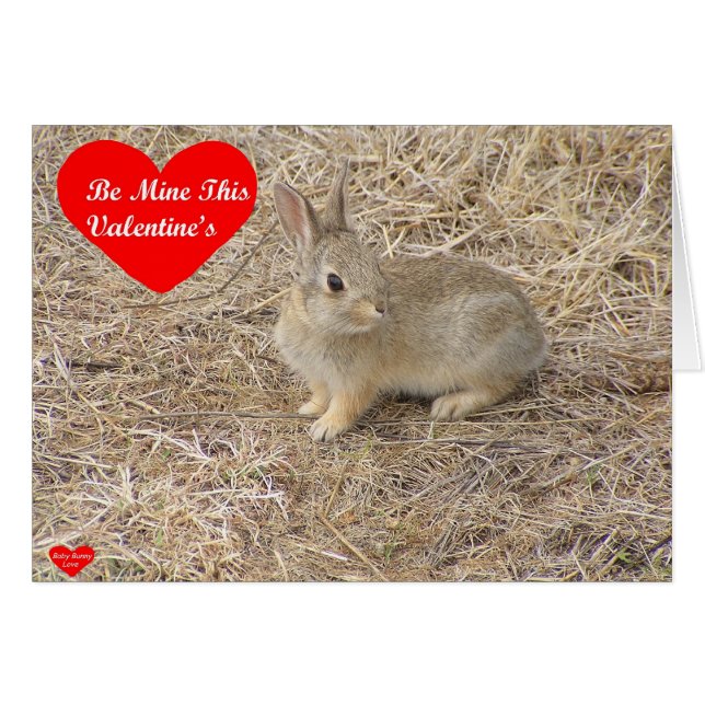 Baby Bunny Love 1 Card (Front Horizontal)