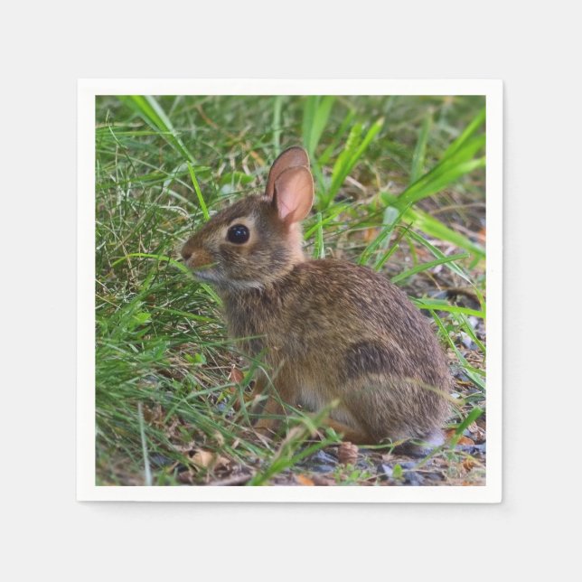 Baby Bunny Paper Napkin (Front)