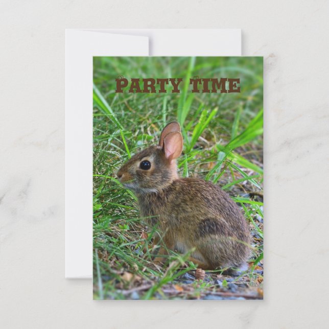 Baby Bunny Party Invitation (Front)