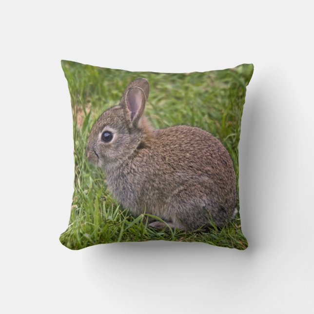 Baby Bunny Pillow (Front)