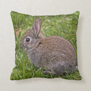 Baby Bunny Pillow