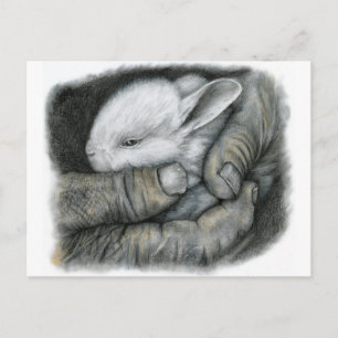 BABY BUNNY POSTCARD