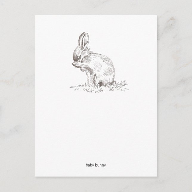 Baby Bunny Postcard (Front)