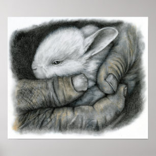 BABY BUNNY POSTER