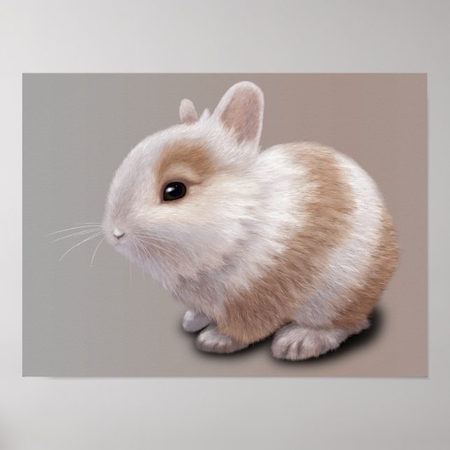 Baby Bunny Poster (Front)