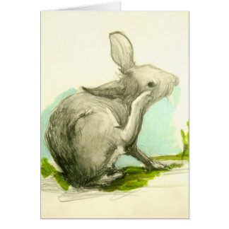 Baby Bunny Scratching His Ear