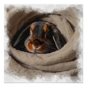 Baby Bunny Snuggled in a Blankie Poster