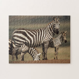 Baby Burchell's Zebra with mother Jigsaw Puzzle