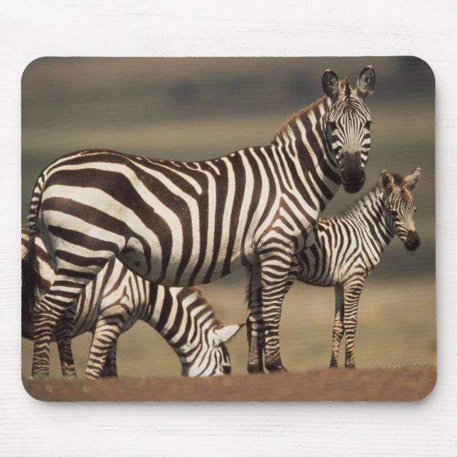 Baby Burchell's Zebra with mother Mouse Mat (Front)