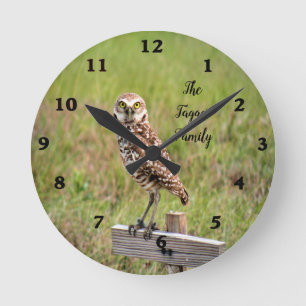 Baby Burrowing Owl Wall Clock