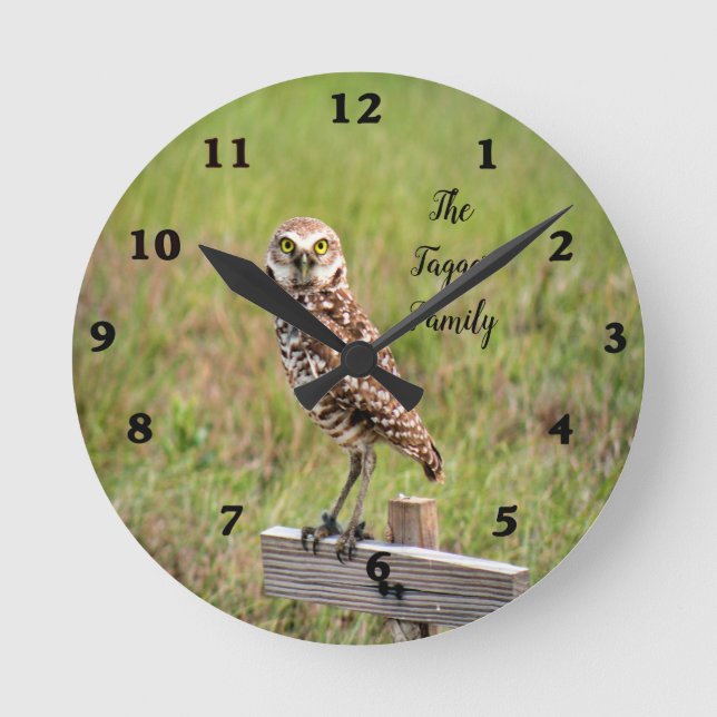 Baby Burrowing Owl Wall Clock (Front)