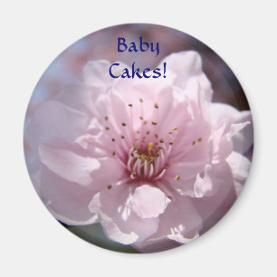 BABY CAKES! Magnet Pink Blossoms Spring Magnets