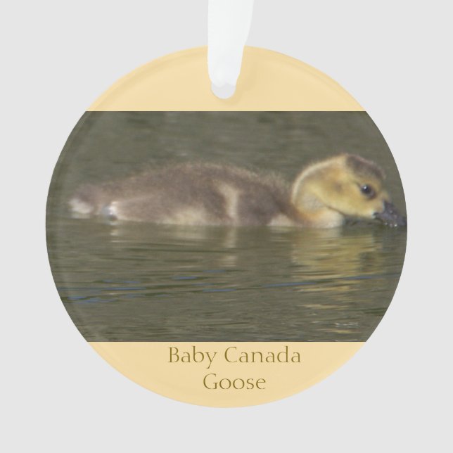 Baby Canada Goose Ornament  (Front)