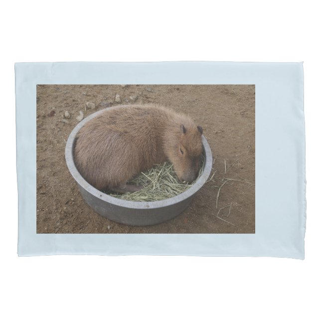 Baby Capybara Pillowcase (Front)