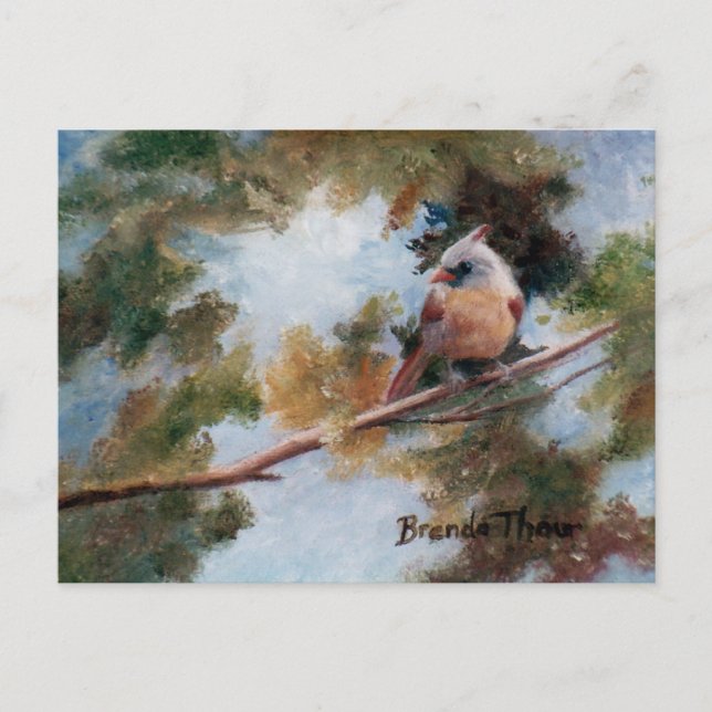 Baby Cardinal Postcard (Front)