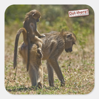 Baby care square sticker