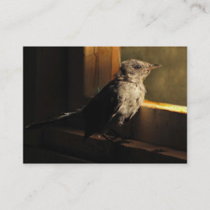 Baby Catbird ATC Business Card