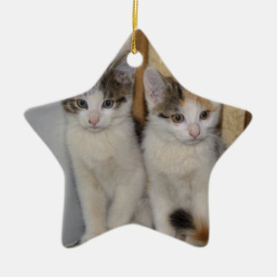 Baby Cats Ceramic Tree Decoration