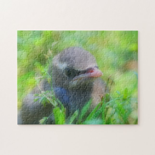 Baby Cedar Waxwing Fledgling Bird Nature Jigsaw Puzzle (Horizontal)