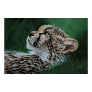 Baby Cheetah Fine Art Print 71x47cm