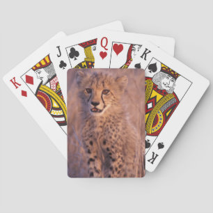 Baby Cheetah Playing Cards