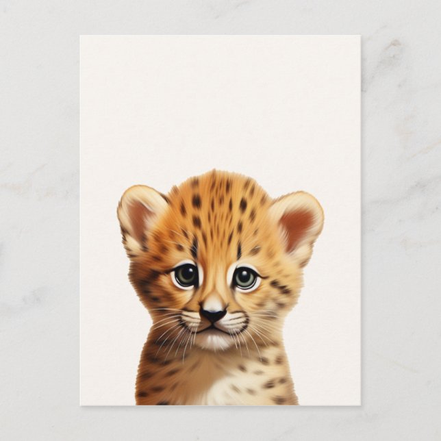 Baby Cheetah Portrait Postcard (Front)