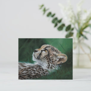 Baby Cheetah Postcard Set 10