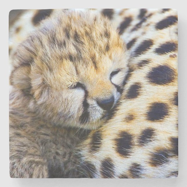 Baby Cheetah Stone Coaster (Front)