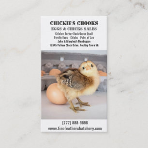 Baby Chick and Fresh Egg Business Card