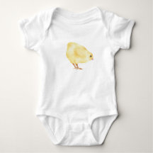 Baby Chick 