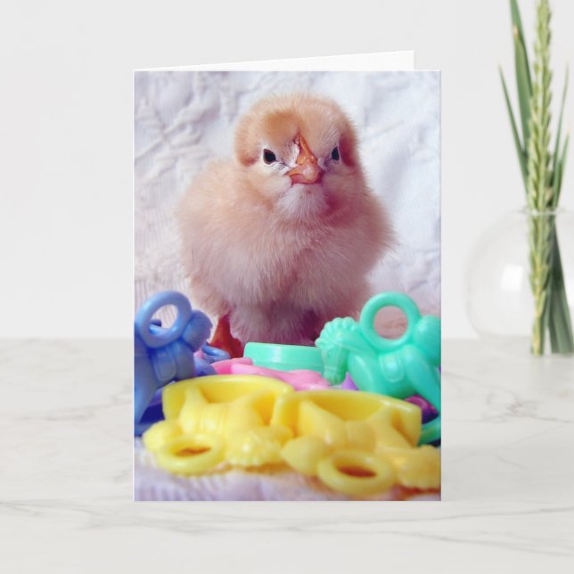 Baby Chick Card (Front)