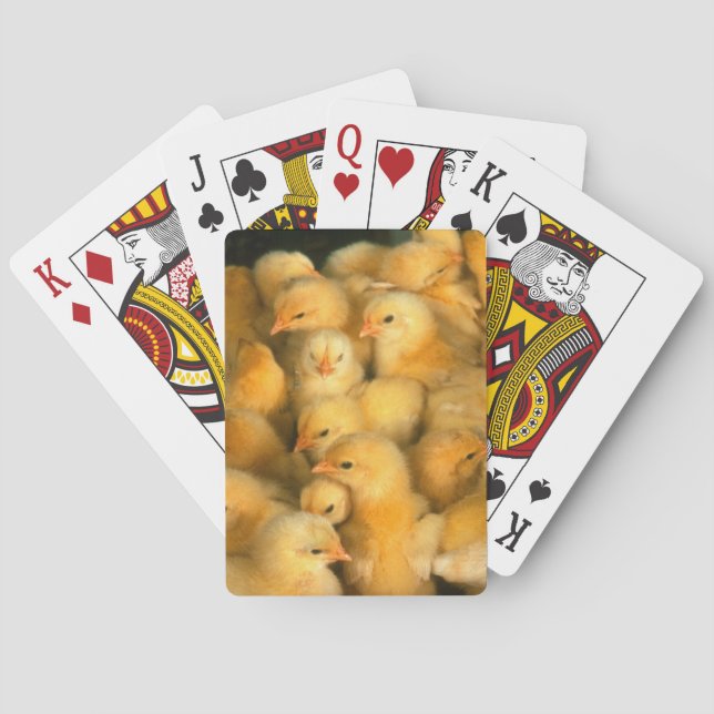 Baby Chick Chicks Chicken Playing Cards (Back)