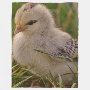 Baby Chick Fleece Blanket
