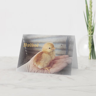 Baby Chick "Hello" Card