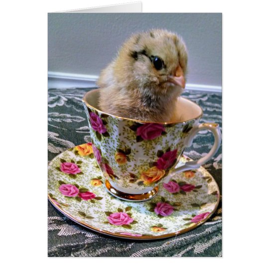 Baby Chick in a Tea Cup Greeting Card
