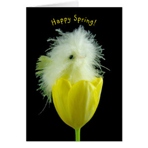 Baby chick in yellow tulip