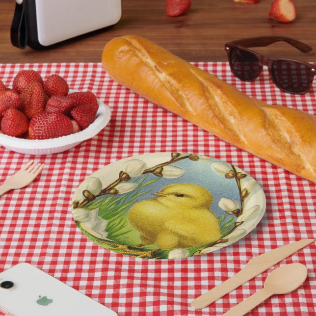 Baby Chick Springtime Paper Plates (Picnic)