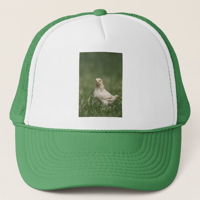 Baby Chick Trucker Hat (Front)