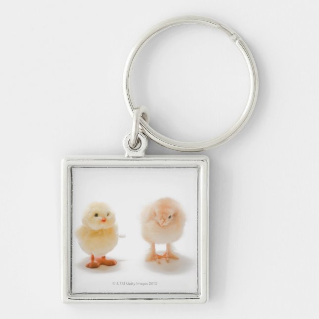 Baby chicken and fake mechanical chicken key ring (Front)