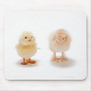 Baby chicken and fake mechanical chicken mouse mat