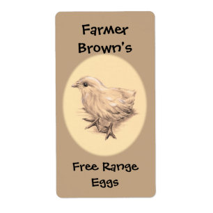 Baby Chicken Drawing Product