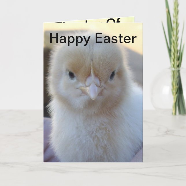 Baby_Chicken_Easter_Greeting_Card. Holiday Card (Front)
