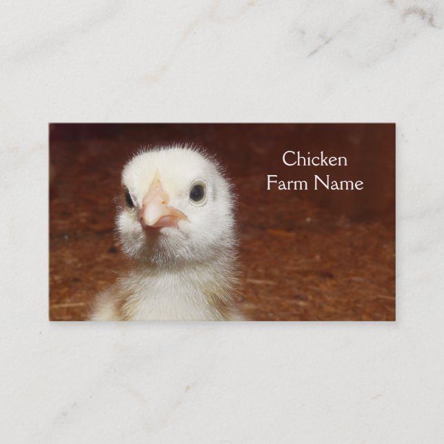 Baby Chicken Egg or Chicken Farm Business Card (Front)