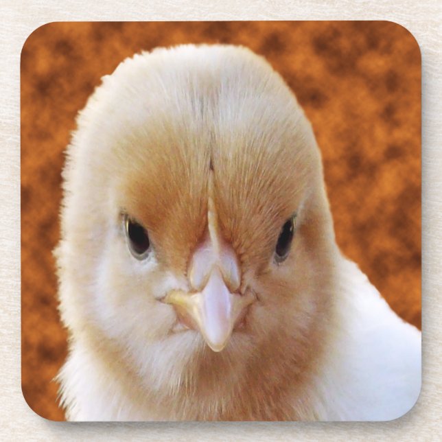 Baby Chicken Face, Coasters (Front)