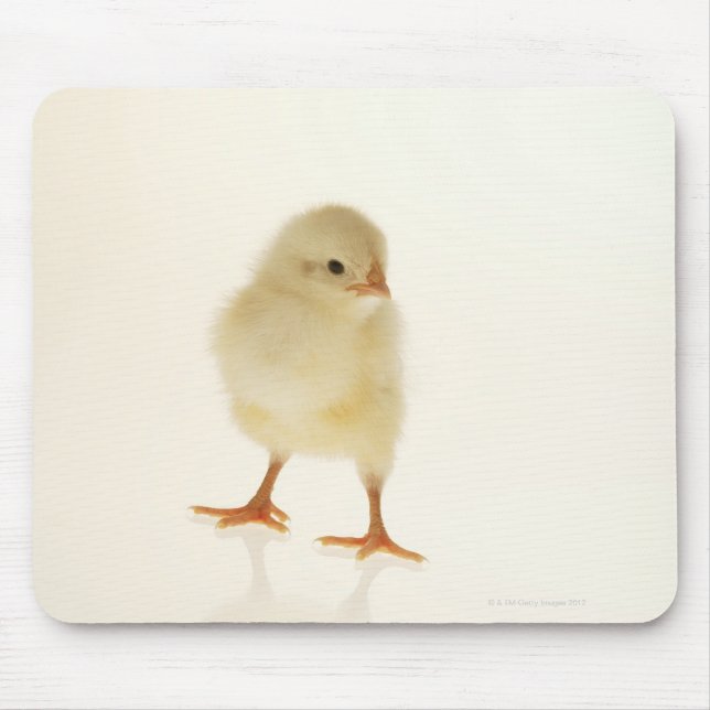 Baby chicken mouse mat (Front)