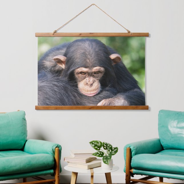 Baby Chimp Connection Hanging Tapestry (Living Room)