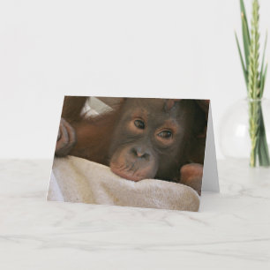 Baby Chimp Greeting Card