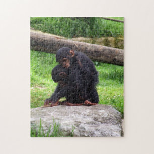 Baby Chimp Puzzle