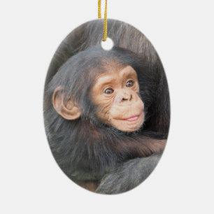 Baby Chimpanzee Ceramic Tree Decoration