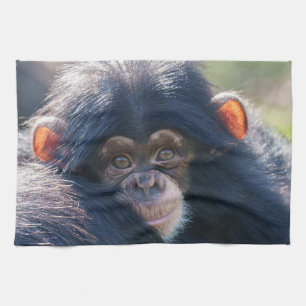 Baby Chimpanzee's Journey Tea Towel